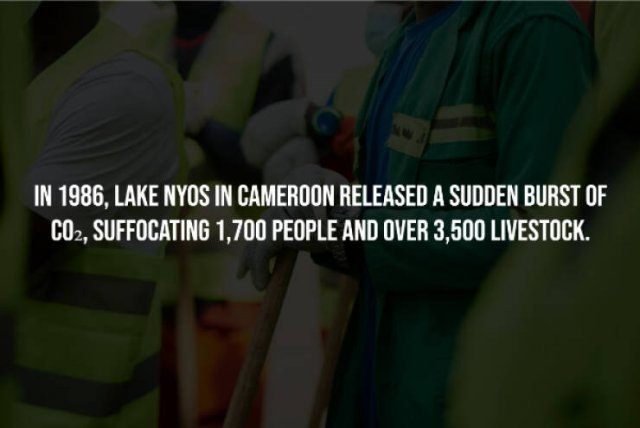 interestingfacts256_015