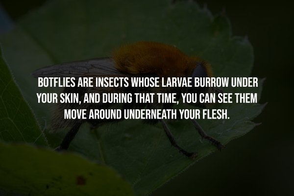 interestingfacts257_001