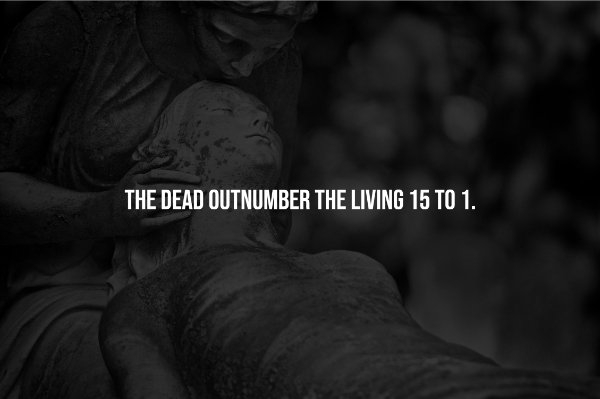 interestingfacts257_008