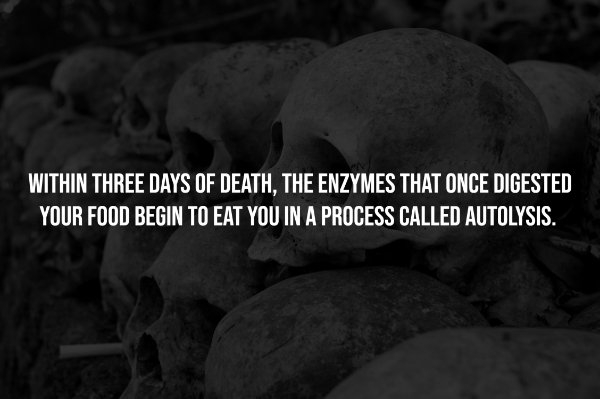 interestingfacts257_011