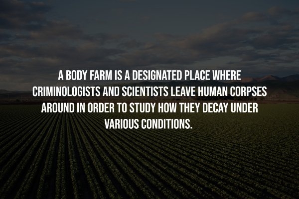 interestingfacts257_013