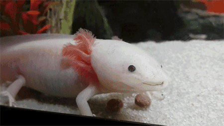 interestingfacts258_008