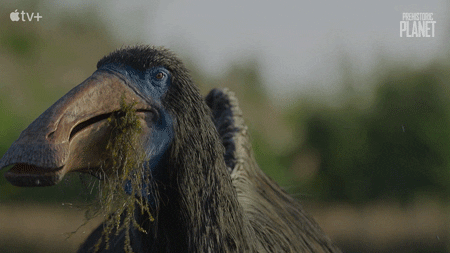 interestingfacts259_007