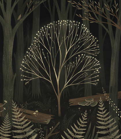 interestingfacts259_009