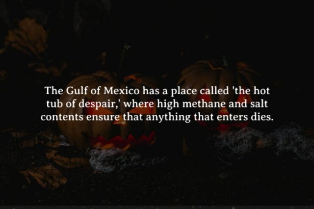 interestingfacts262_002