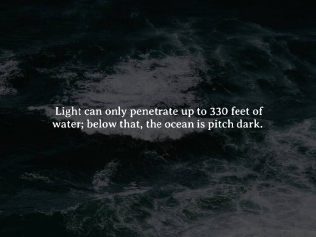 interestingfacts262_003