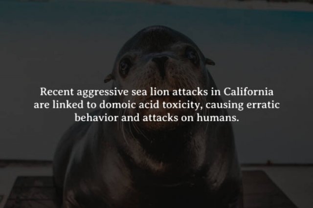 interestingfacts262_004