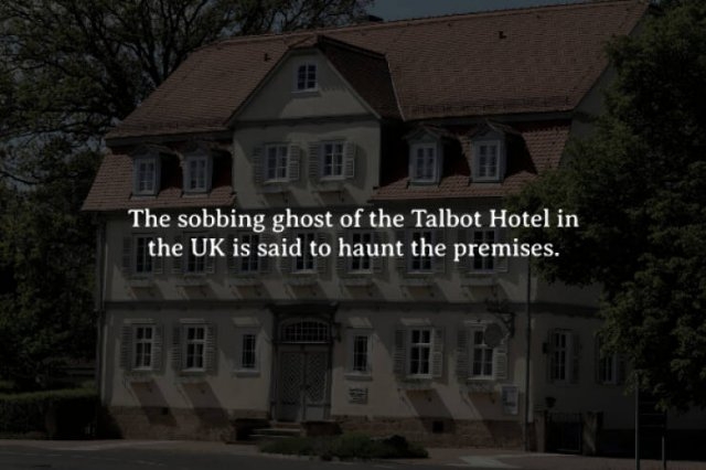 interestingfacts262_008