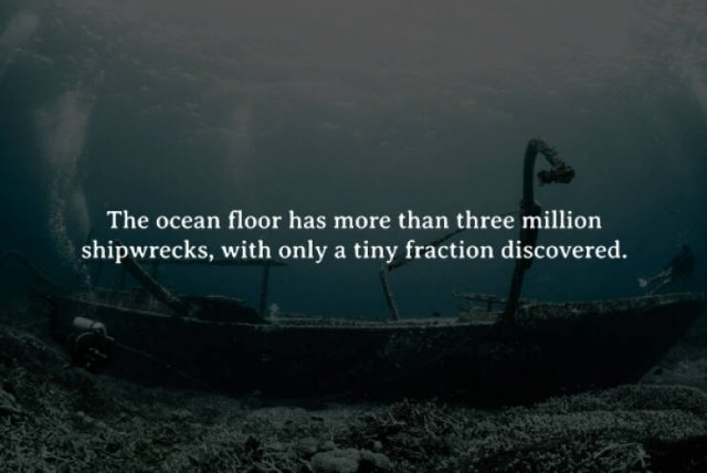 interestingfacts262_012