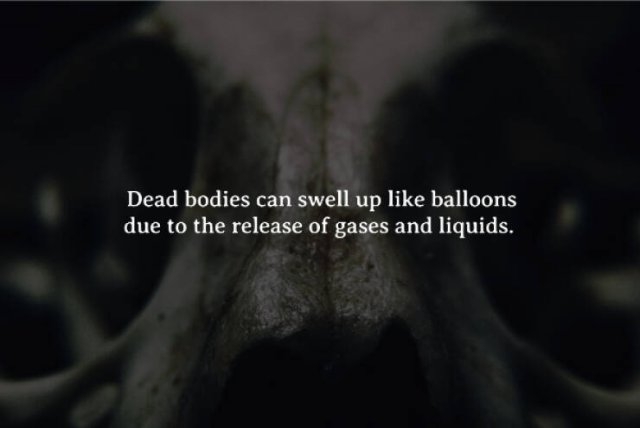 interestingfacts262_013