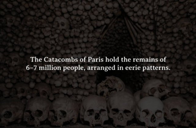 interestingfacts262_014