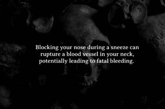 interestingfacts262_015