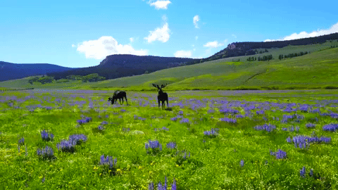 interestingfacts263_003