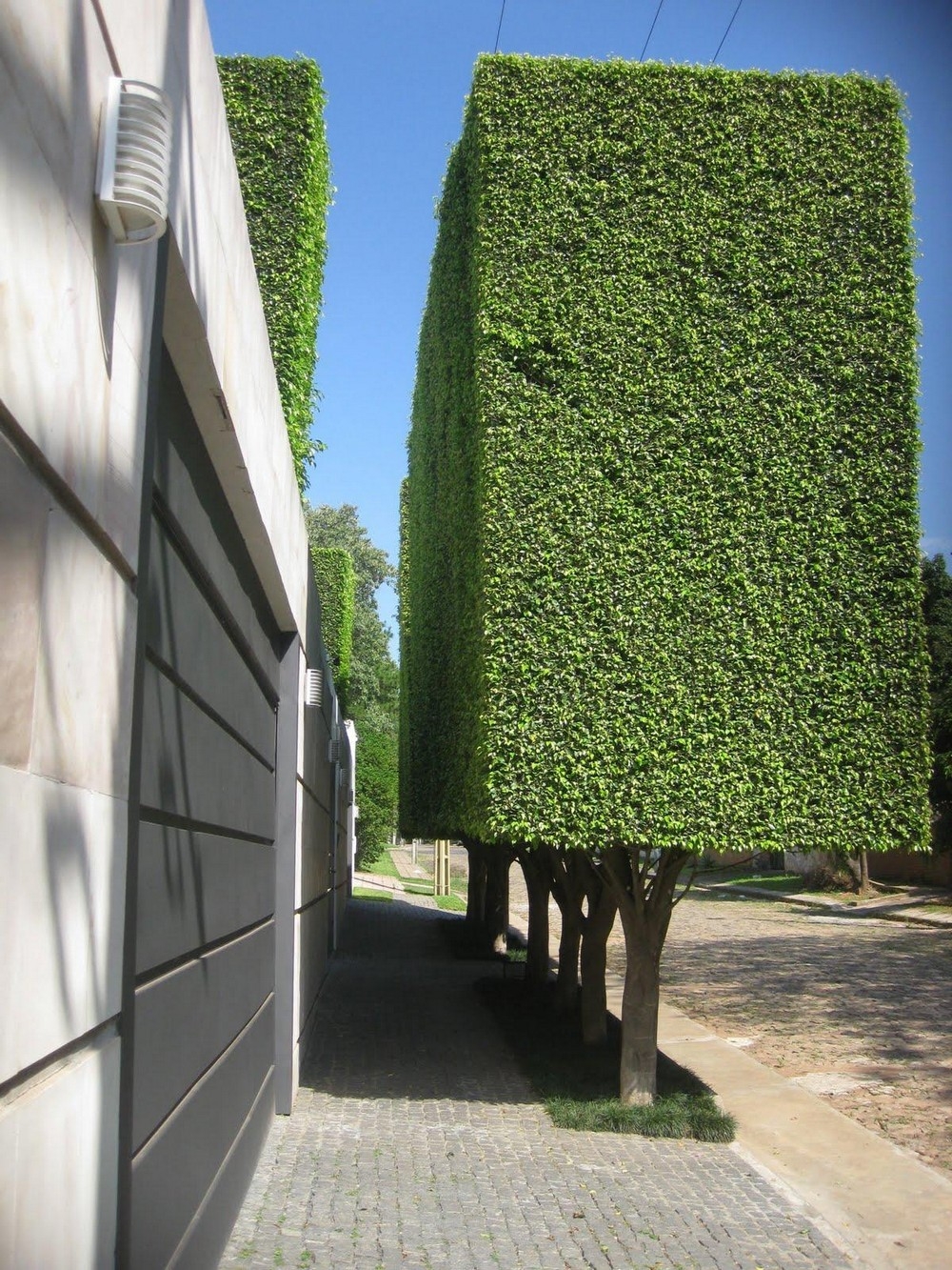 perfectphotos126_008