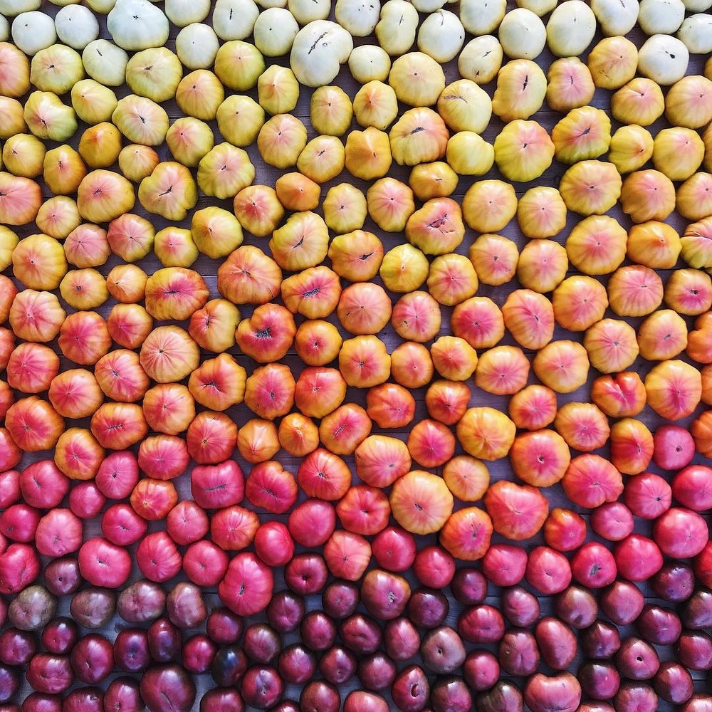 perfectphotos126_011