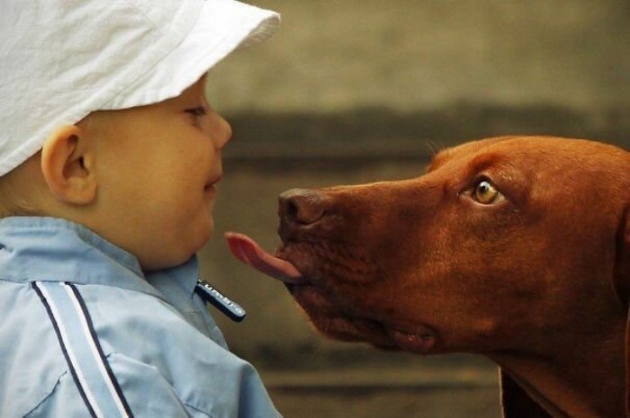 perfectphotos126_039