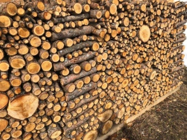 perfectphotos129_014