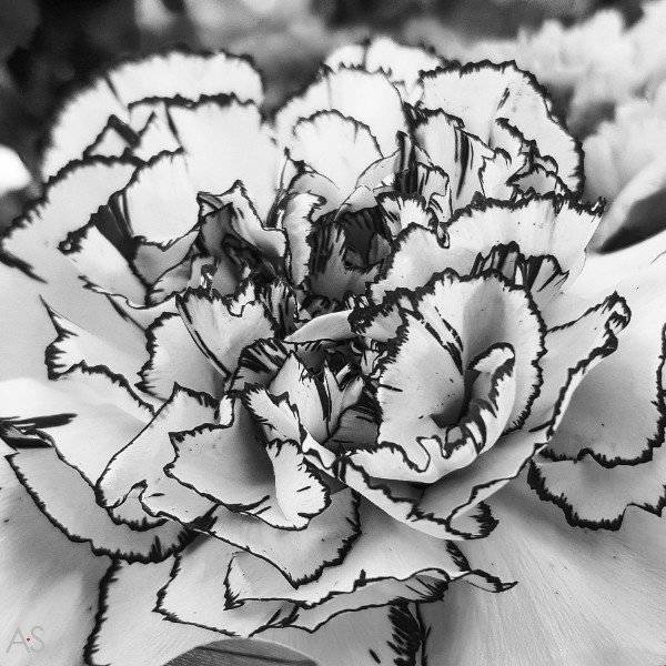 perfectphotos129_018