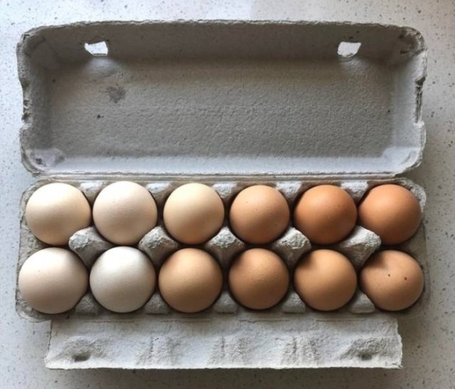 perfectphotos130_008