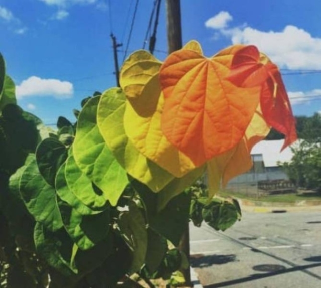 perfectphotos130_020