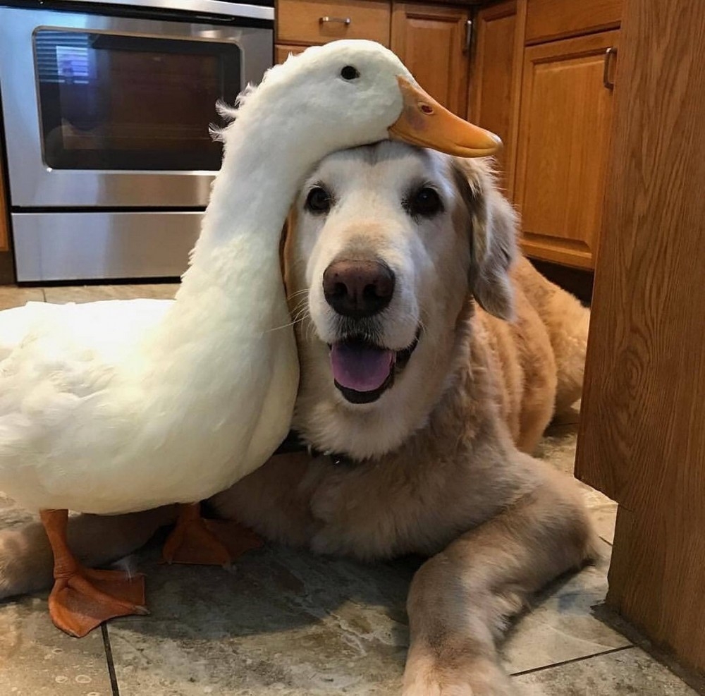 perfectphotos131_012