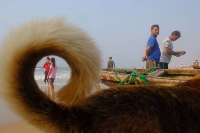 perfectphotos131_032