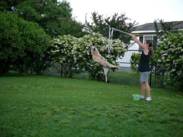 perfectphotos131_033