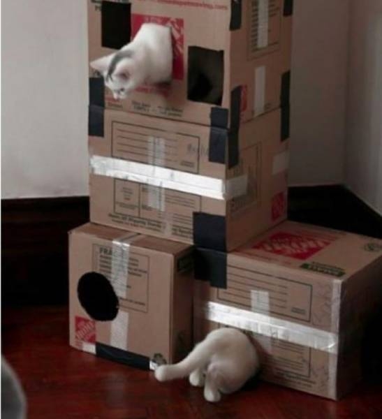 perfectphotos131_034