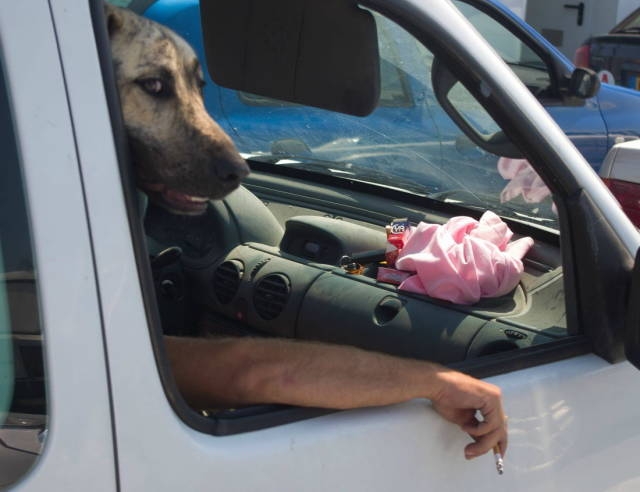 perfectphotos131_036