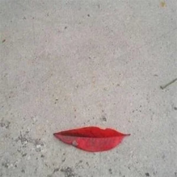 randompics1690_079