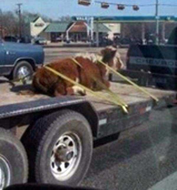 redneckengineering30_012