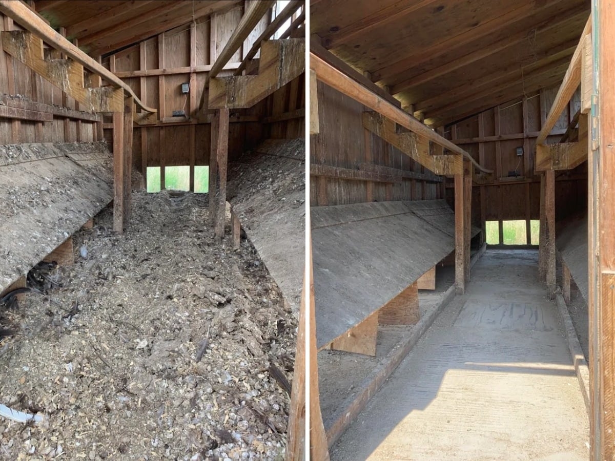 deepcleaning45_009