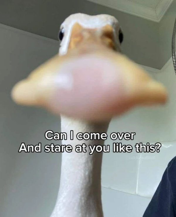 funnymemes321_002