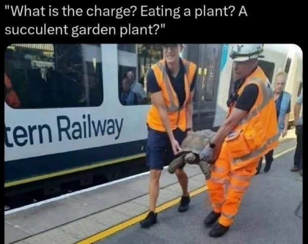 funnymemes321_005