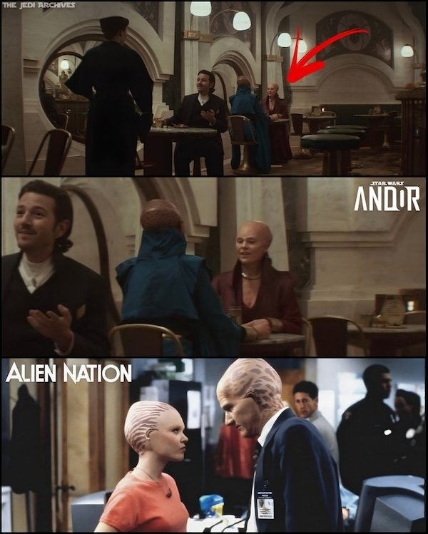 funnymemes321_033