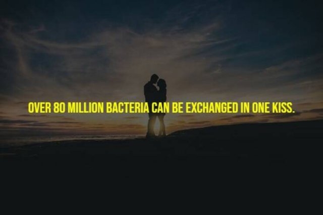 interestingfacts265_004