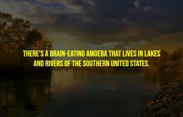 interestingfacts265_009