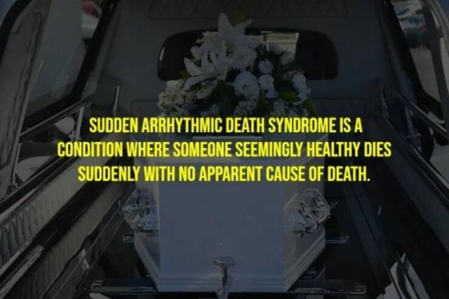 interestingfacts265_010