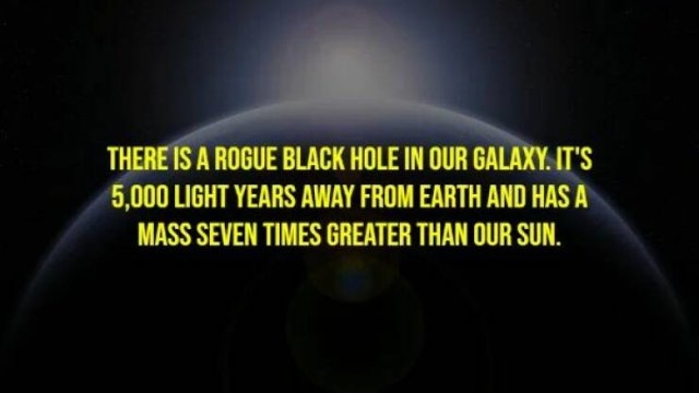 interestingfacts265_013