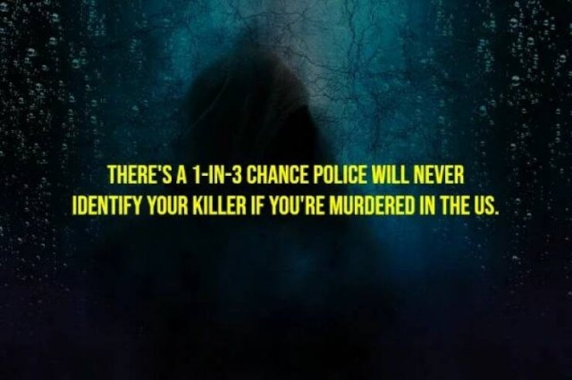 interestingfacts265_014