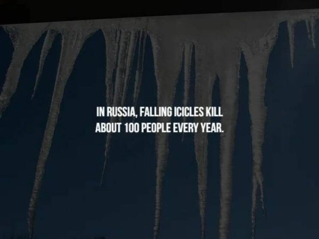 interestingfacts267_001