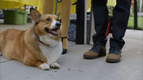 interestingfacts268_007