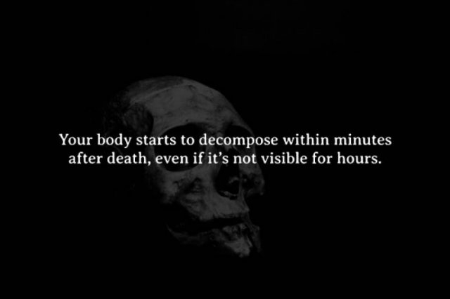 interestingfacts272_002