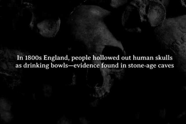 interestingfacts272_005