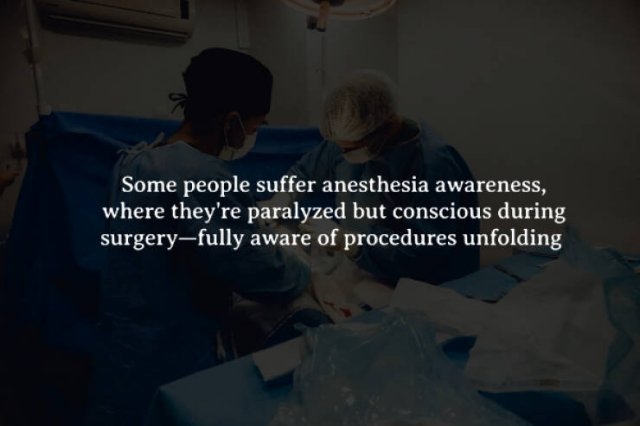 interestingfacts272_009