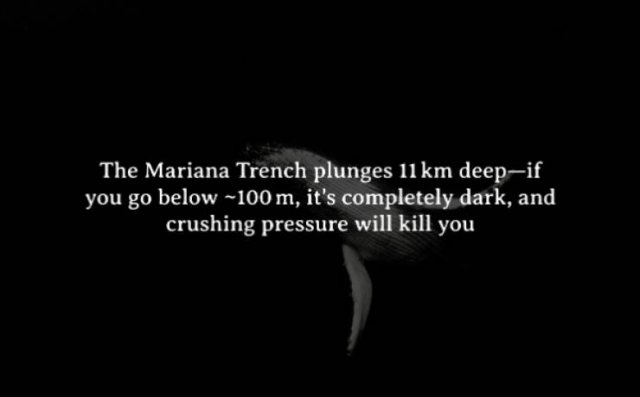 interestingfacts272_013