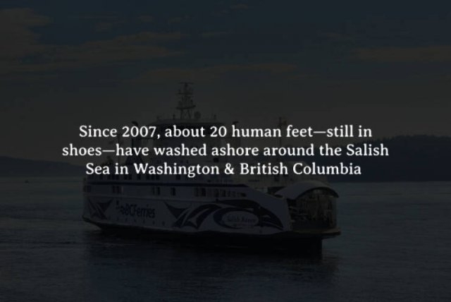 interestingfacts272_015