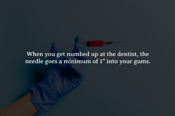 interestingfacts274_009