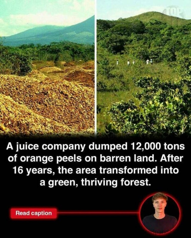 interestingfacts275_012