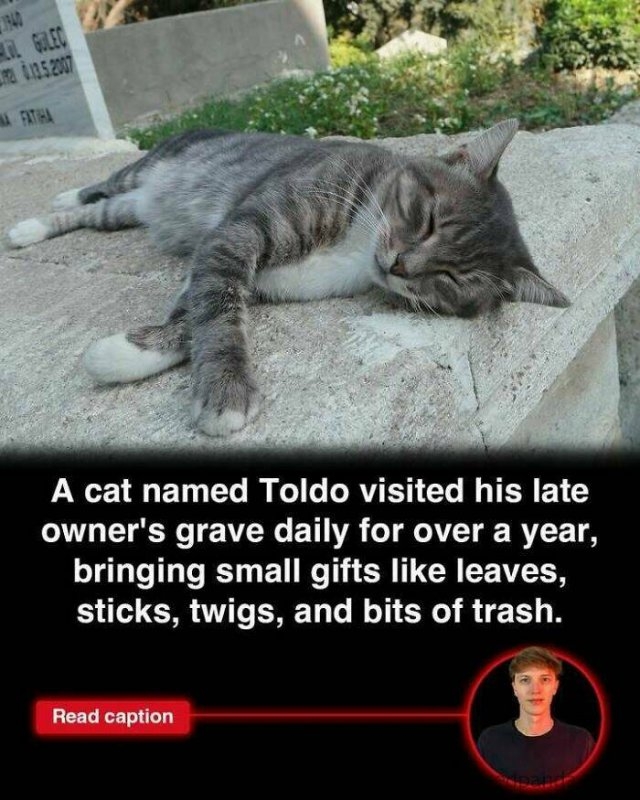 interestingfacts275_025